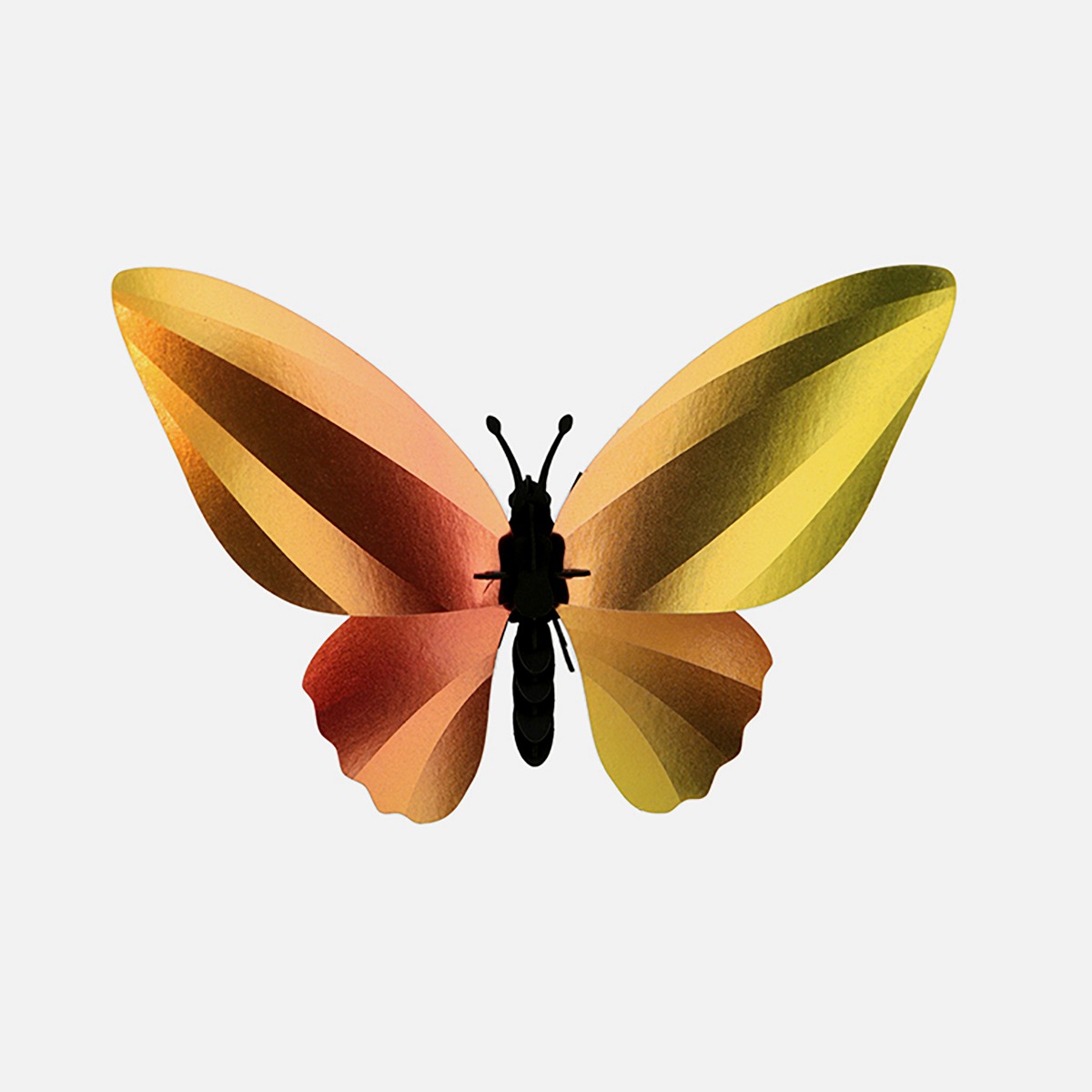 Birdwing Butterfly puzzle | Guggenheim Bilbao tienda online de diseño y arte