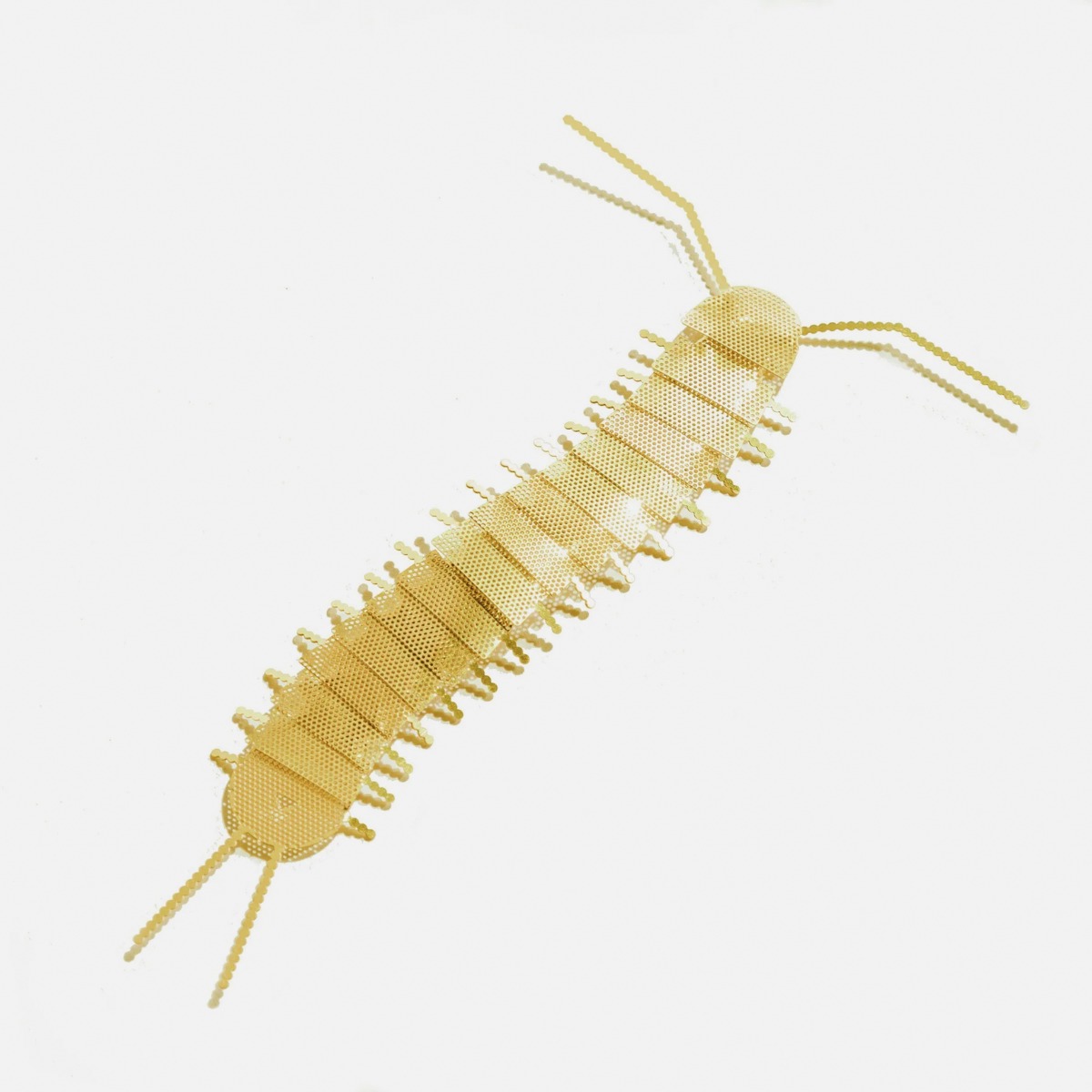 Flatmate Centipede