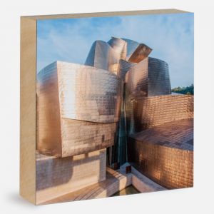 Guggenheim Bilbao Takoa