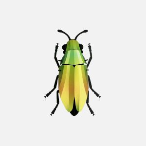 Jewel Beetle puzzle