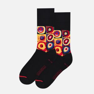 Squares with Concentric Circles Socks