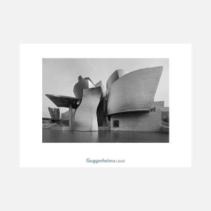 Guggenheim Bilbao zuri-beltzean